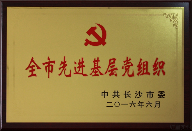 集团公司党委喜获“长沙市先进基层党组织”荣誉称号